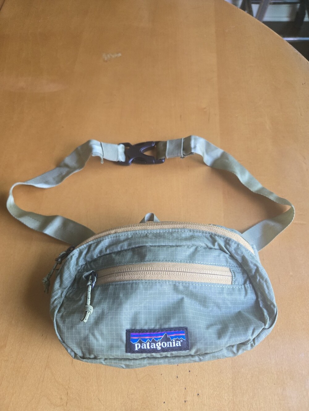 Patagonia Ultralight Black Hole Mini Hip Pack